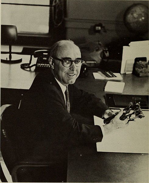 Portrait of Edwin Colbert, photograph, 1960s, American Museum of Natural History archives (Wikimedia commons)