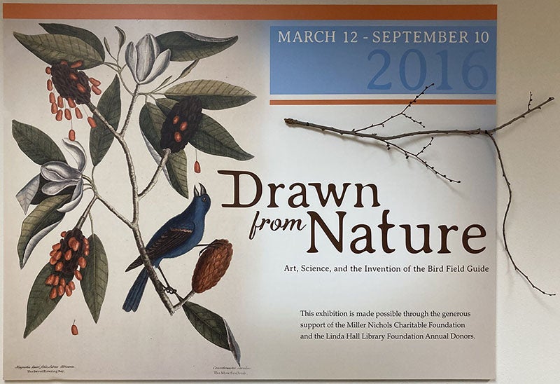 Exhibition title panel, Drawn from Nature: Art, Science, and the Invention of the Bird Field Guide, curated by Eric Ward, panel design by Melissa Dehner, 2016 (Linda Hall Library archives)