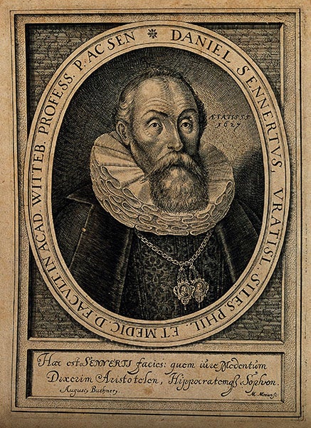 Portrait of Daniel Sennert, engraving by Matthäus Merian, 1627, Wellcome Collection, London (wellcomecollection.org)