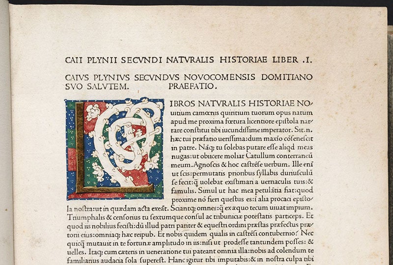First page, detail, with illuminated initial “L” to begin book 1, Naturalis historia, by Pliny the Elder, Venice, Nicolas Jenson 1472 (Linda Hall Library)