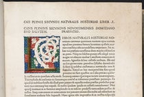 First page, detail, with illuminated initial “L” to begin book 1, Naturalis historia, by Pliny the Elder, Venice, Nicolas Jenson 1472 (Linda Hall Library)