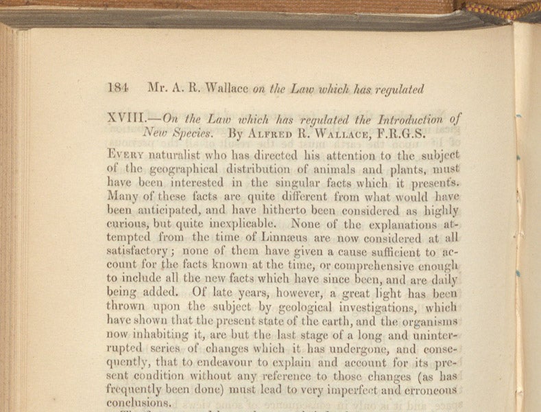First paragraph of “On the Law which has regulated the Introduction of New Species,” by Alfred Russel Wallace, Annals and Magazine of Natural History, vol. 16, 1855 (Linda Hall Library)