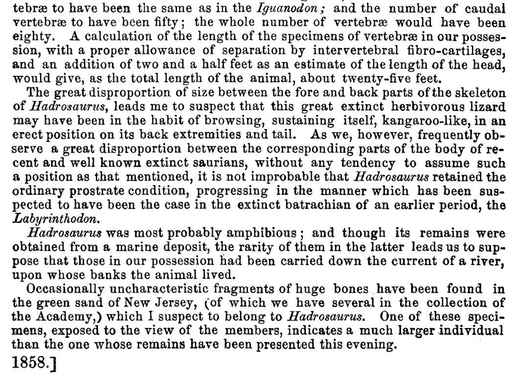 Leidy's suggestion of bipedal dinosaurs. This work was on display in the original exhibition as item 10. Image source: Leidy, Joseph. "[Remarks concerning Hadrosaurus]," in: Proceedings of the Academy of Natural Sciences of Philadelphia, vol. 10 (1858), p. 217.