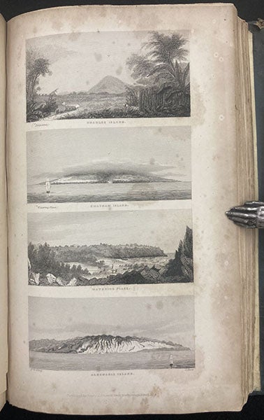 Views of Charles, Chatham, and Albemarle Islands, Galapagos archipelago, etchings after drawings by Philip Gidley King, Narrative of the Surveying Voyages of His Majesty's ships Adventure and Beagle, by Robert FitzRoy et al., vol. 2, p. 498, 1839 (Linda Hall Library)