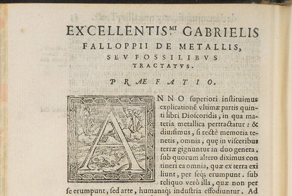 Beginning of second treatise, “On Metals and Fossils,” De medicatis aquis, atque de fossilibus, by Gabriele Falloppio, p. 85 verso, 1569 (The Linda Hall)