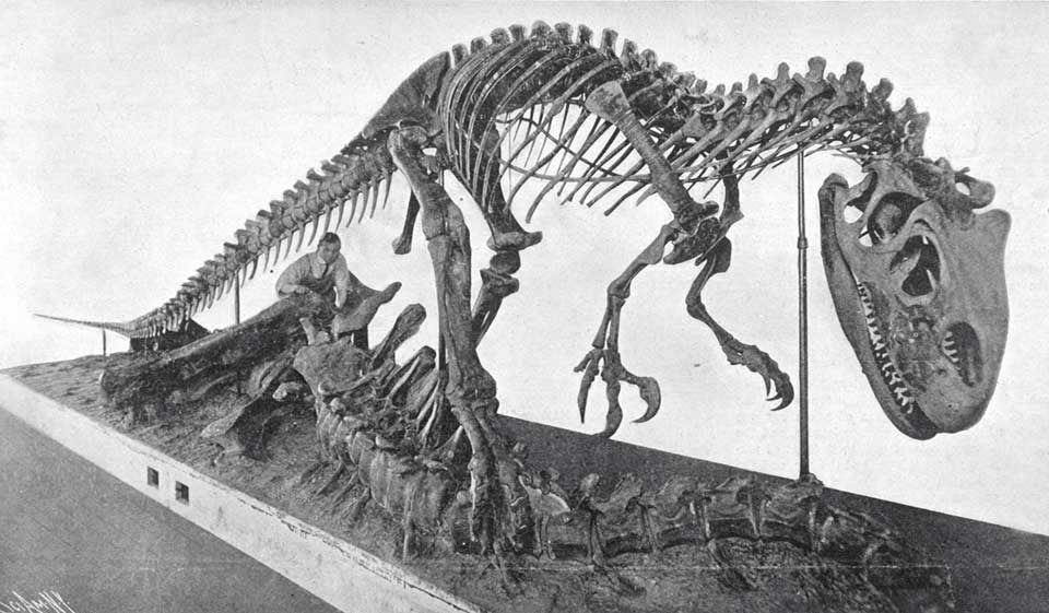 Mounted Allosaurus. This work is part of our History of Science Collection, but it was NOT included in the original exhibition. Image source: Beasley, Walter L. “A carnivorous dinosaur: A reconstructed skeleton of a huge saurian,” in: Scientific American, vol. 97, no. 24 (Dec. 14, 1907), cover.