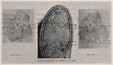 “Matching” is an important part of working with trace evidence. It can be as varied as matching shoe prints found at a crime scene (top) or cuts made with a knife on tree branches (bottom).