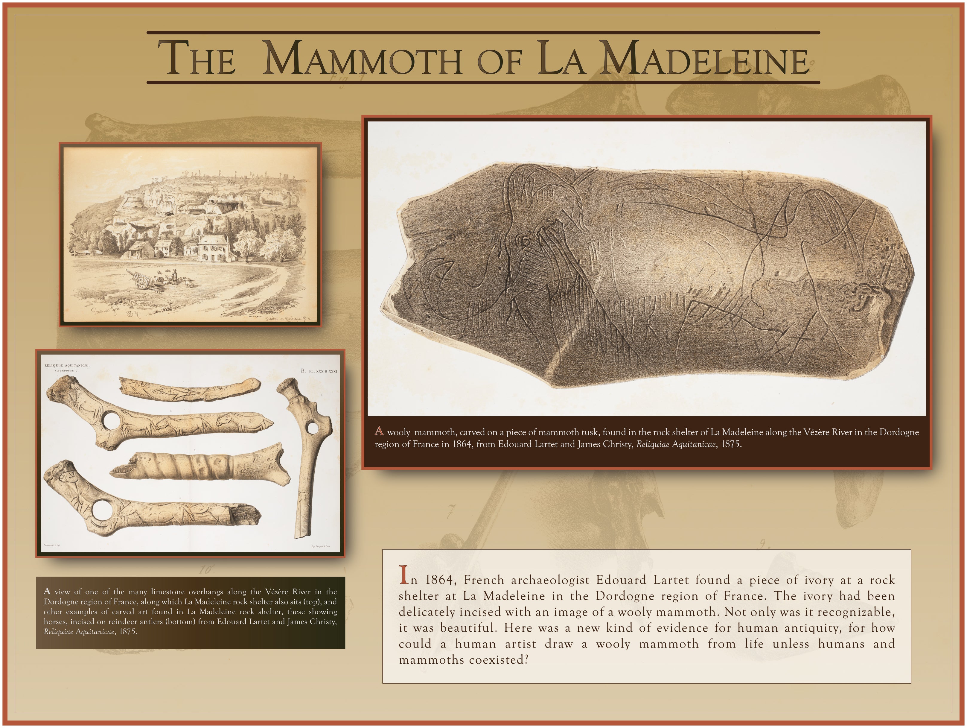 Mammoth La Madeleine
A new kind of evidence for human antiquity is found in 1864.