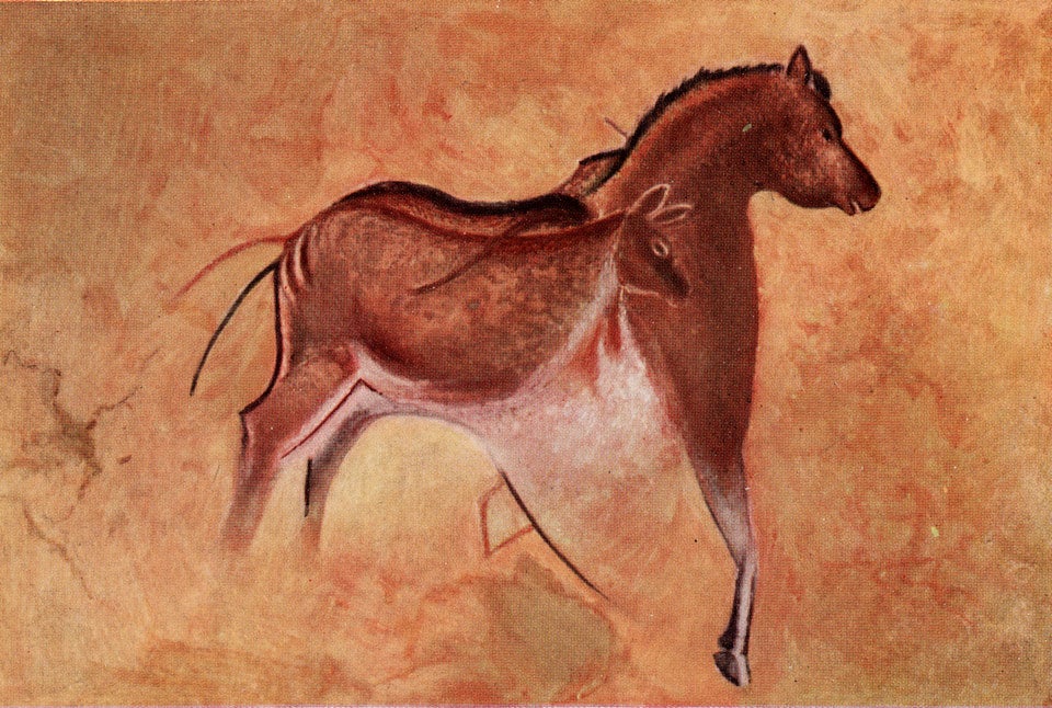 Detail of horse and hind. Image source: Osborn, Henry Fairfield. “Men of the Old Stone Age.” American Museum Journal, vol. 12, no. 8, Dec. 1912, frontispiece. 