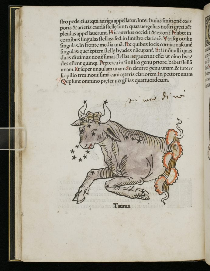 Scan of the Taurus constellation from Poeticon astronomicon by Hyginus