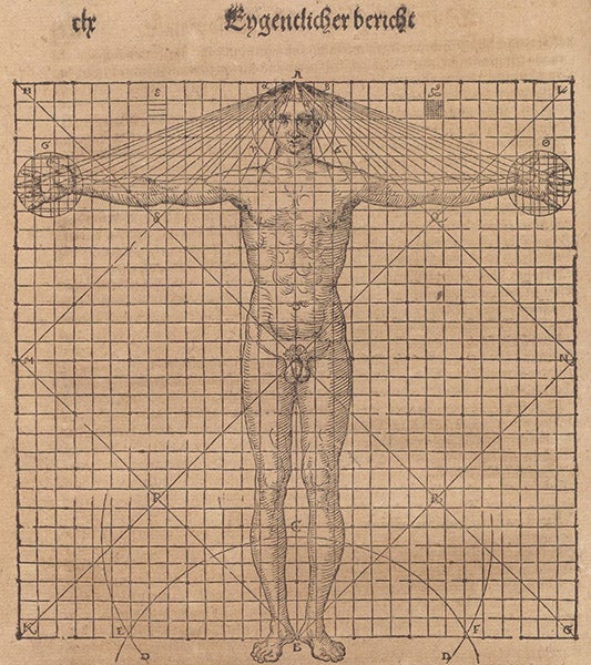 Vitruvian man 1, in a square, woodcut, Bawkunst, oder, Architectur, by Walther Hermann Ryff, 3rd ed., p. 160, 1582 (The Linda Hall)