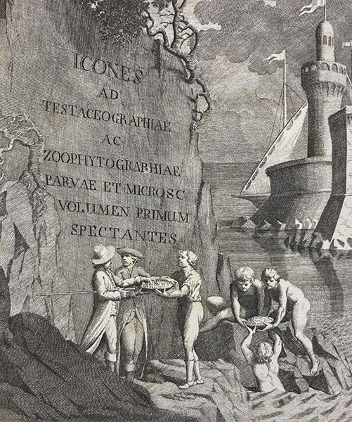 Gathering fossils, detail of engraved frontispiece, Testaceographiae ac zoophytographiae parvae et microscopicae, by Ambrogio Soldani, vol. 1, 1789 (Linda Hall Library)