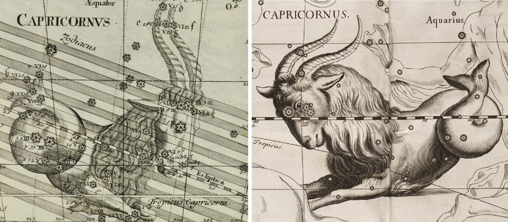 L: Capricornus. Image source: Thomas, Corbinianus. Mercurii philosophici firmamentum firmianum. Frankfurt; Leipzig: [s.n.], 1730. 

R: Capricornus. Image source: Hevelius, Johannes. Firmamentum Sobiescianum sive Uranographia. Gdansk: typis J.-Z. Stollii, 1690. 