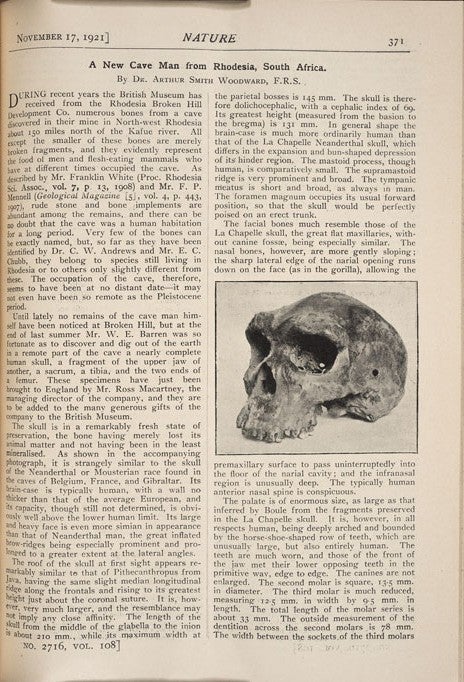Woodward’s report. Image source: Woodward, Arthur Smith. “A New Cave Man from Rhodesia, South Africa.” Nature, vol. 108, Nov. 17, 1921, p. 371.