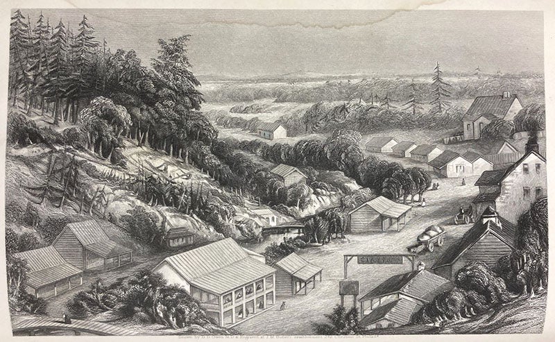 “View of the Hot Springs of Arkansas,” wood-engraved frontispiece, Second Report of a Geological Reconnoissance … of Arkansas, by David Dale Owen, 1860 (Linda Hall Library)