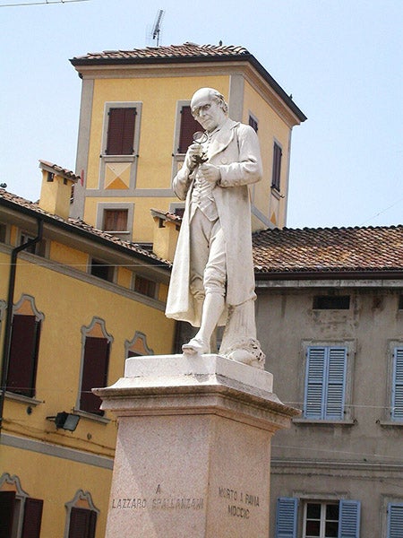 Statue of Lazzaro Spallanzani, sculpted by Guglielmo Fornaciari, 1888, Scandiano (Wikimedia commons)