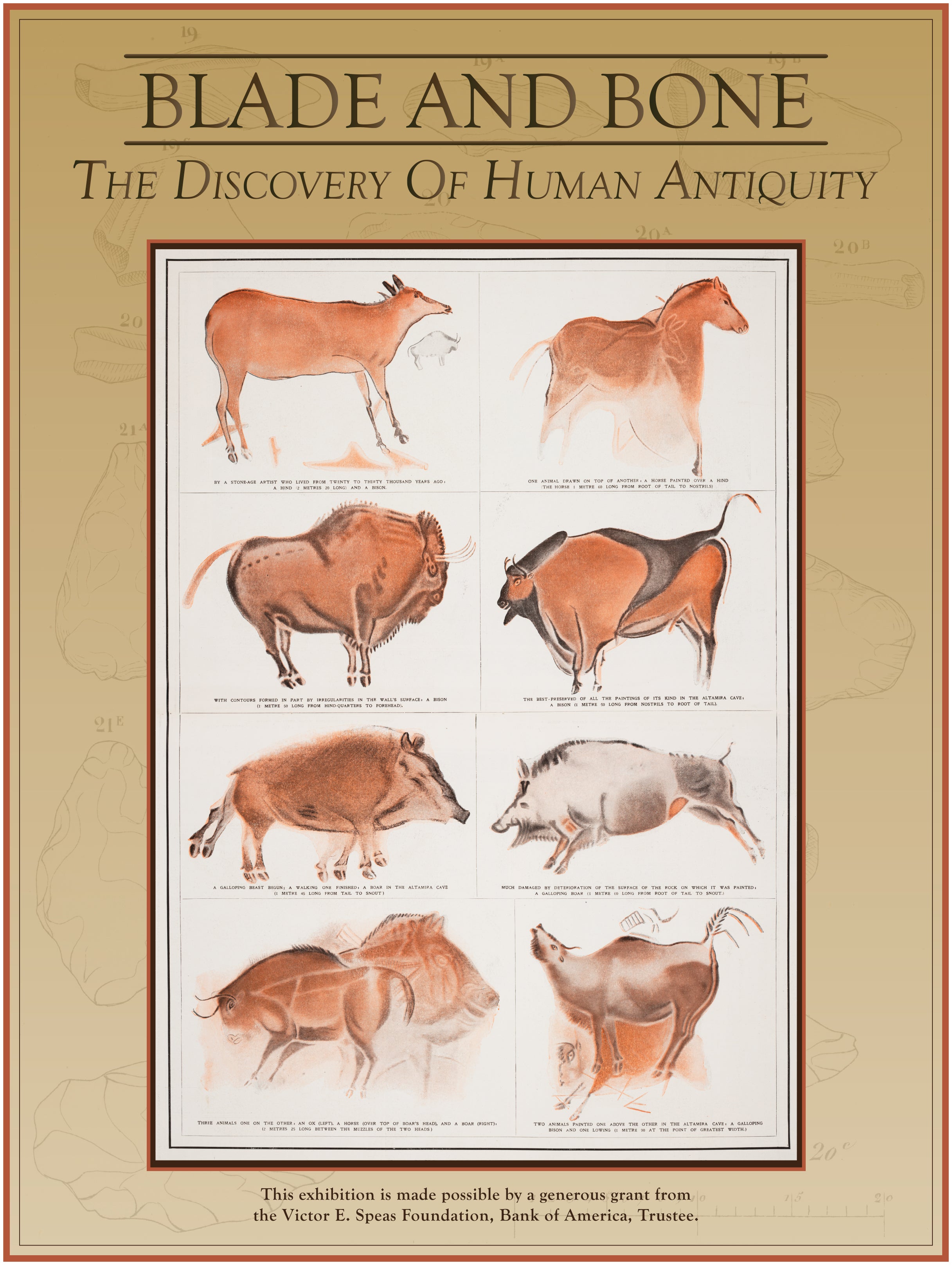 Blade and Bone exhibition lead panel 3