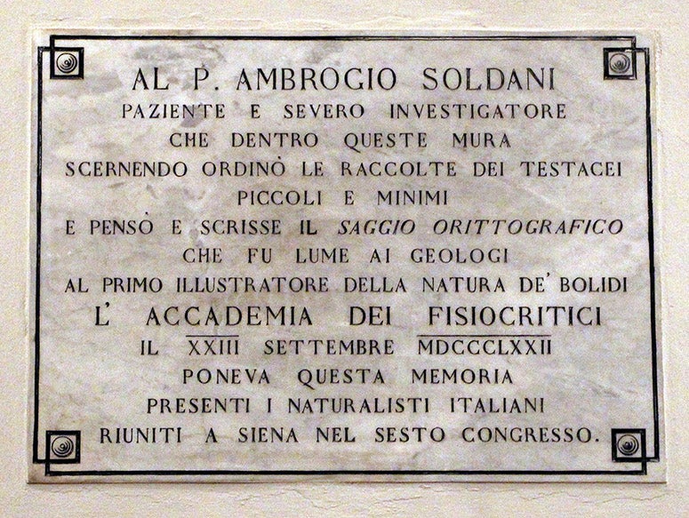 Plaque honoring Ambrogio Soldani, installed in 1872, at the Museum of the Accademia dei Fisiocritici, Sienna, of which Soldani was the secretary (Wikimedia commons)