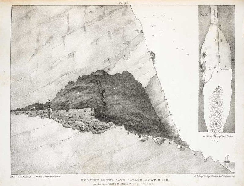 Section of the cave called Goat Hole. Image source: Buckland, William. Reliquiae Diluvianae. London: John Murray, 1823, pl. 21.