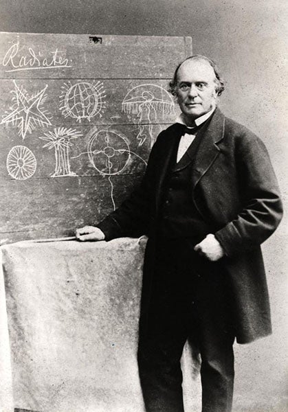 Portrait of Louis Agassiz, photograph, 1870 (neh.gov)