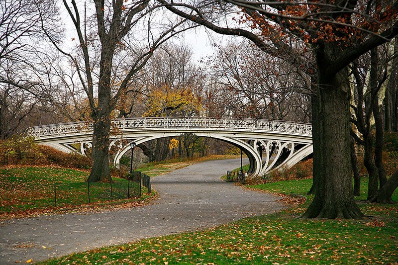 Gothic Bridge, no.  28, Central Park, designed by Calvert Vaux and Jacob Wrey Mould, recent photograph (Wikimedia commons)