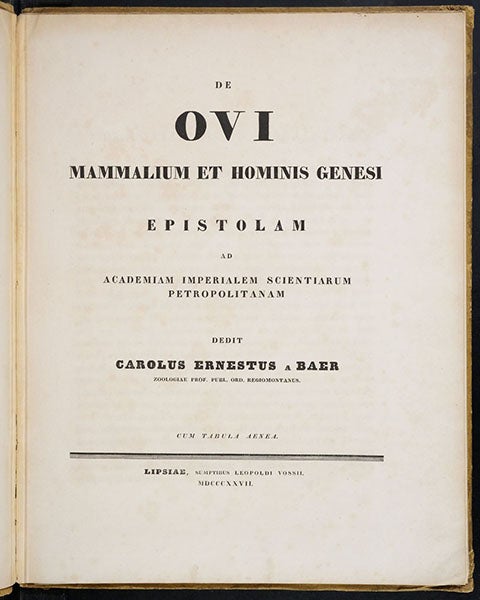 Title page, De ovi mammalium et hominis genesi epistolam, by Karl Ernst von Baer, 1827; cum tabula aenea at the bottom means “with a copper plate” (Linda Hall Library)