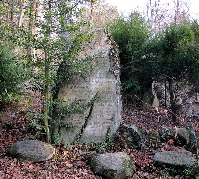 Tombstone of August Weismann and his family and descendants, Freiburg (Wikimedia commons)