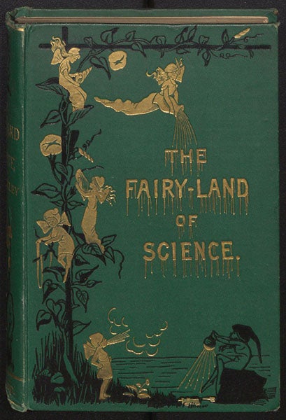 Gold-stamped front cover, The Fairy-Land of Science, by Arabella Buckley, 1887 (Linda Hall Library)