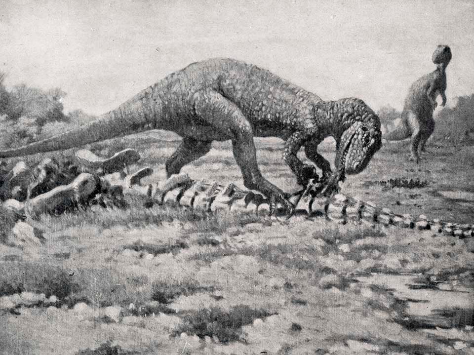 Illustration of an Allosaurus feeding on remains. This work was on display in the original exhibition as item 32. Image source: Dickerson, Mary Cynthia. "Charles R. Knight--Painter and sculptor of animals," in: American Museum Journal, vol. 14 (1914), p. 86. 