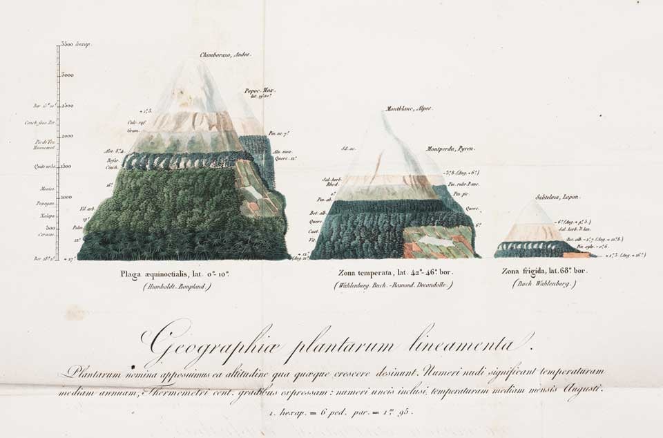 Diagram of the geography of plants. Image source: Humboldt, Alexander von. De distributione geographica plantarum secundum coeli temperiem et altitudinem montium: prolegomena. Lutetiae Parisiorum: In Libraria Graeco-Latino-Germanica, 1817, pl. 1.