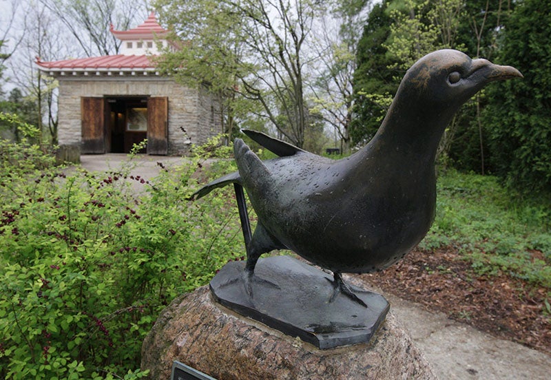 Bronze sculpture of Martha, Cincinnati Zoo, with pagoda in the background dedicated to Martha and Incas, the last Carolina Parakeet, who also died here, photo by Cincinnati Enquirer, 2019 (cincinnati.com)