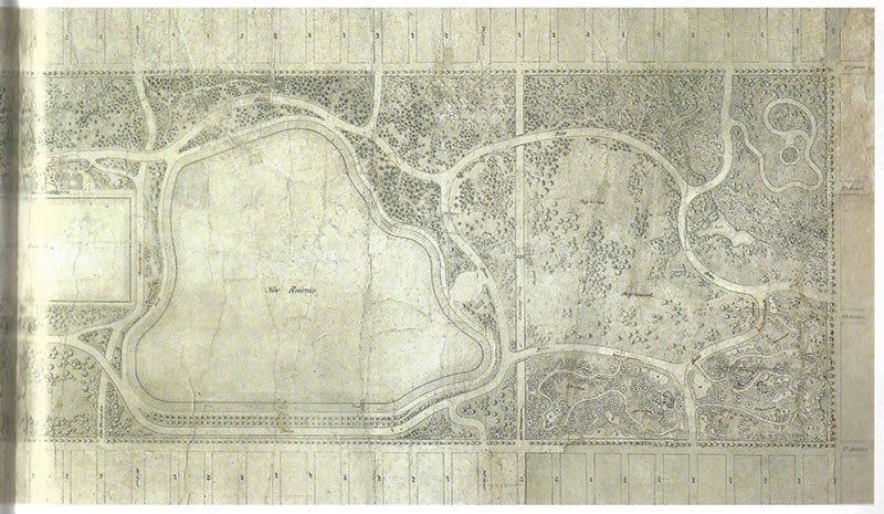 Detail of the north end of the 1858 ground plan for Central Park, New Yok City, by Frederick Law Olmsted and Calvert Vaux; note the new reservoir and the individual placement of trees (diannedurantewriter.com)