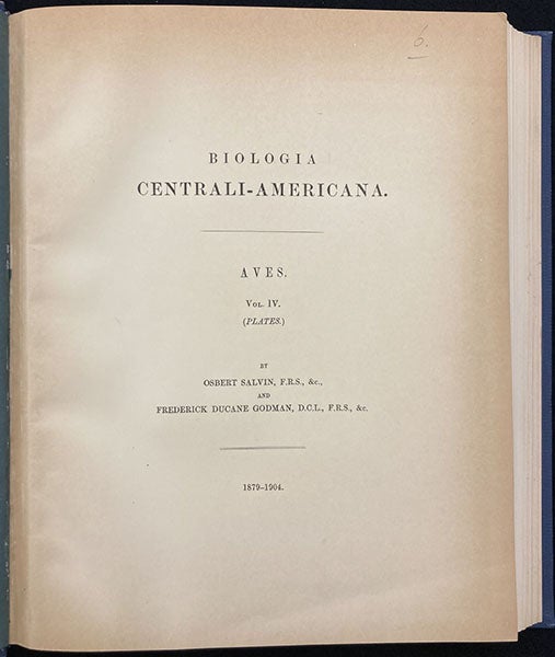 Title page, Biologia Centrali-Americana: Aves, by Osbert Salvin and Frederick DuCane Godman, vol. 4 (plates), 1879-1904 (Linda Hall Library)