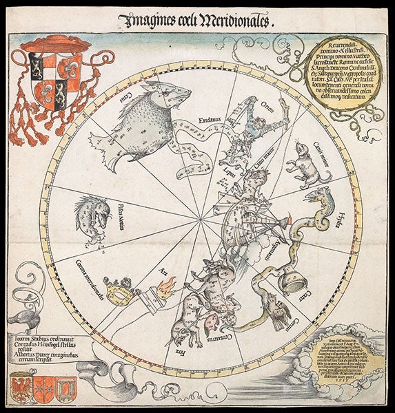 Imagines Coeli Meridionales (southern celestial hemisphere), woodcut by Albrecht Dürer et al., 1515, offered and sold by Daniel Crouch Rare Books (crouchrarebooks.com)