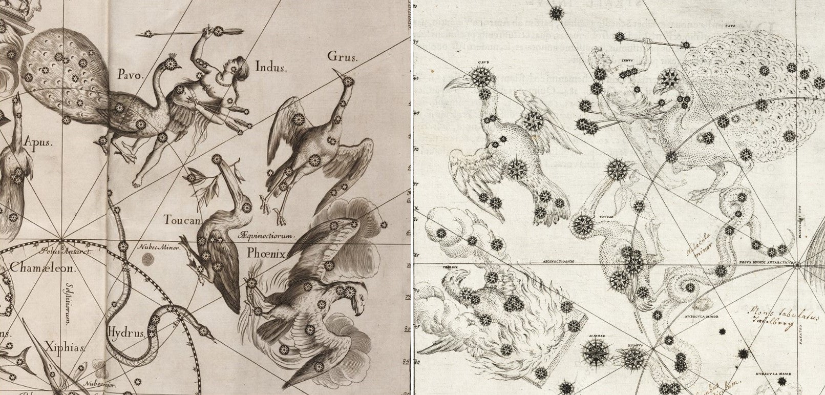 L: Detail of southern stars by Johannes. Image source: Firmamentum Sobiescianum sive Uranographia. Gdansk: typis J.-Z. Stollii, 1690.

R: Southern stars by Johann. Image source: Image source: Bayer, Johannes. Uranometria. Augsburg: Excudit Christophorus Mangus, 1603.
