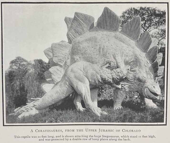 Stegosaurus attacked by Ceratosaurus, sculpture by Josef Pallenberg at Tierpark Hagenbeck, Hamburg, photograph in Geology of To-day, by John W. Gregory, p. 254, 1915 (The Linda Hall)