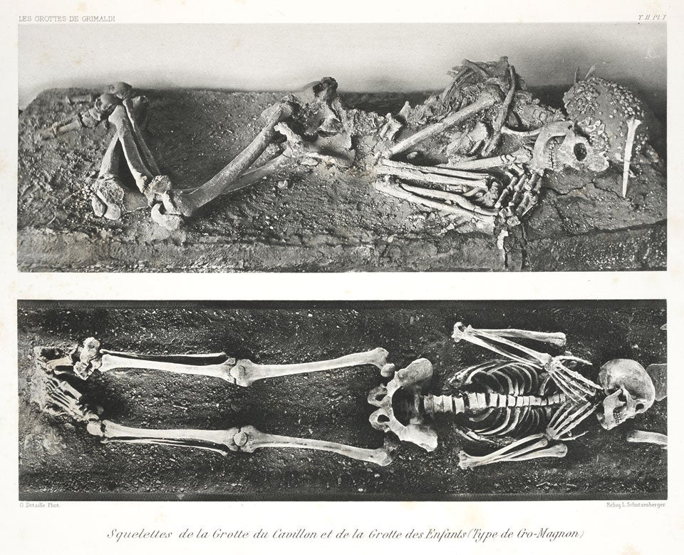 Cro-Magnon skeletons, top skeleton is wearing a headdress. Image source: Villeneuve, L., et al. Les Grottes de Grimaldi (Baoussé-Roussé). Vol. 2, Monaco: Imprimerie de Monaco, 1906-19, pl. 1.