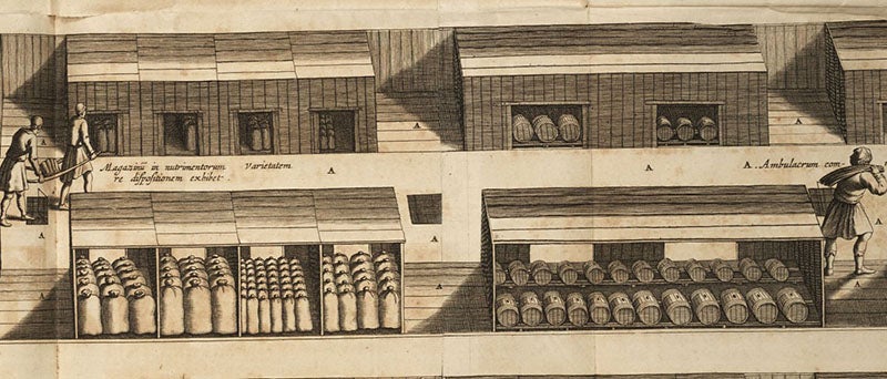 Detail of the 2nd level of “Optical projection” (seventh image), where all the storerooms were located, engraving in Arca Noë, by Athanasius Kircher, foll. p. 116, 1675, copy 2 (Linda Hall Library)