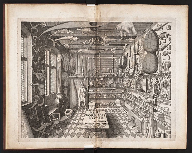 Ole Worm’s museum in Copenhagen, engraved frontispiece, Museum Wormianum, by Ole Worm, 1655 (Linda Hall Library)