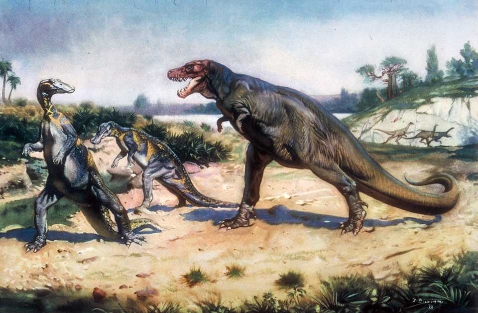 Painting restoration of a Trachodon and Tyrannosaurus confrontation. This work was on display in the original exhibition as item 48, but it is not open to this plate. Image source: Augusta, Joseph; illustrated by Zdenek Burian. Prehistoric Animals. London: Spring Books, [1957], pl. 34.