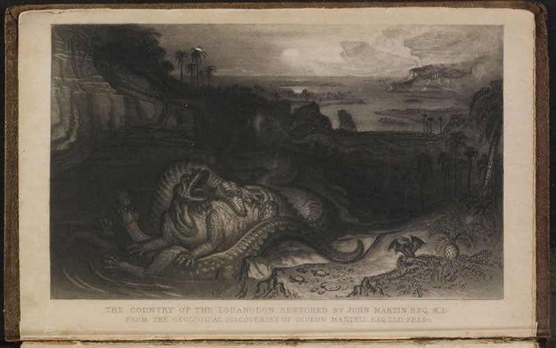 “The Country of the Iguanodon,” mezzotint frontispiece by John Martin, for The Wonders of Geology, by Gideon Mantell, vol. 1, 1838 (Linda Hall Library) 