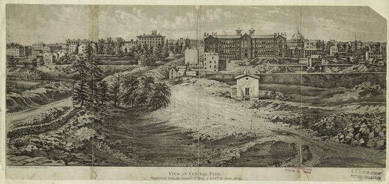 Central Park under construction, photograph, 1858 (diannedurantewriter.com)