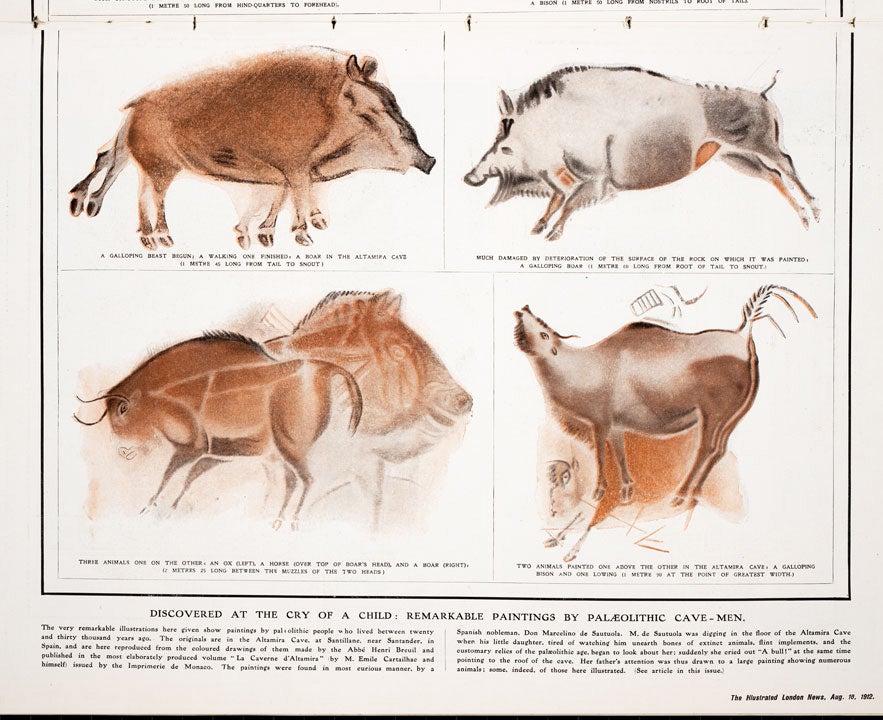 Detail of galloping and lowing boars and bison. Image source: “Animal Artists of 25,000 Years Ago: Cave-Men as Decorators.” Illustrated London News, Aug. 10, 1912, pp. 225. 
Courtesy of William B. Ashworth.