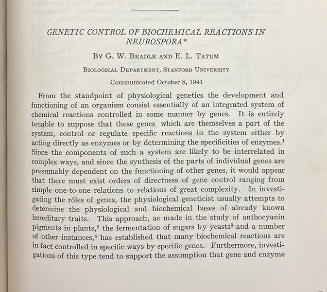 First paragraph, "Genetic control of biochemical reactions in Neurospora,” by George Beadle and Edward Tatum, Proceedings of the National Academy of Sciences, vol 27(11), p. 499, 1941 (The Linda Hall)