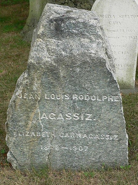 Headstone of Louis Agassiz at Mount Auburn Cemetery, made fom a glacial stone from a moraine in the Alps of his native Switzerland (Wikimedia commons)
