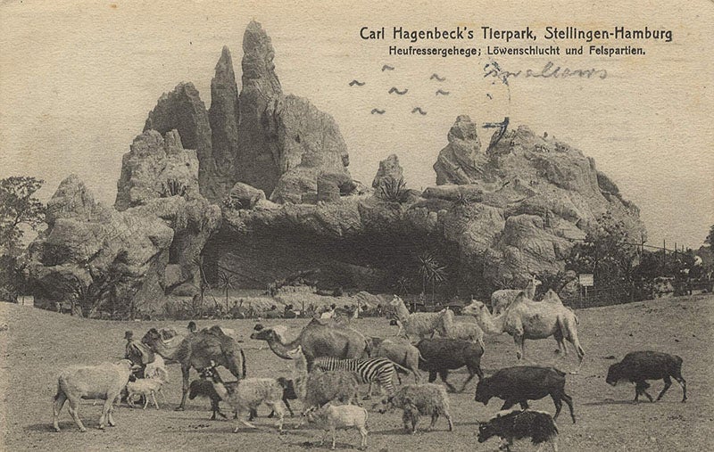 Tierpark Hagenbeck, Hamburg-Stellingen, postcard, ca 1910 (Wikimedia commons)