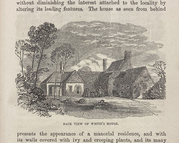 Gardens behind Gilbert White’s house in Selborne, wood engraving, The Natural History and Antiquities of Selborne, by Gilbert White, edited by William Jardine, p. xiii, 1853 (Linda Hall Library)