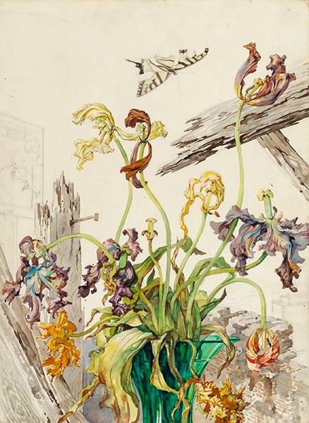 Tulips (Disintegration), watercolor and pencil on paperboard, by Andrey Avinoff, 1949, Smithsonian American Art Museum (americanart.si.edu)