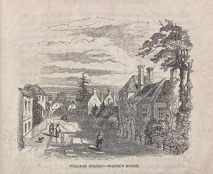 Street-side front of Gilbert White’s house in Selborne, wood engraving, The Natural History and Antiquities of Selborne, by Gilbert White, edited by William Jardine, p. v, 1853 (Linda Hall Library