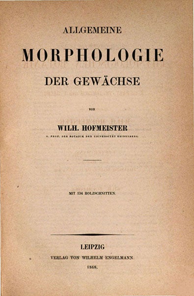 Title page, Allgemeine Morphologie der Gewächse, by Wilhelm Hofmeister, 1868, Bavarian State Library, Munich (digitale-sammlungen.de)